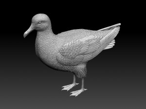 seagull 3D Print Model