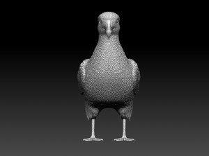 seagull 3D Print Model