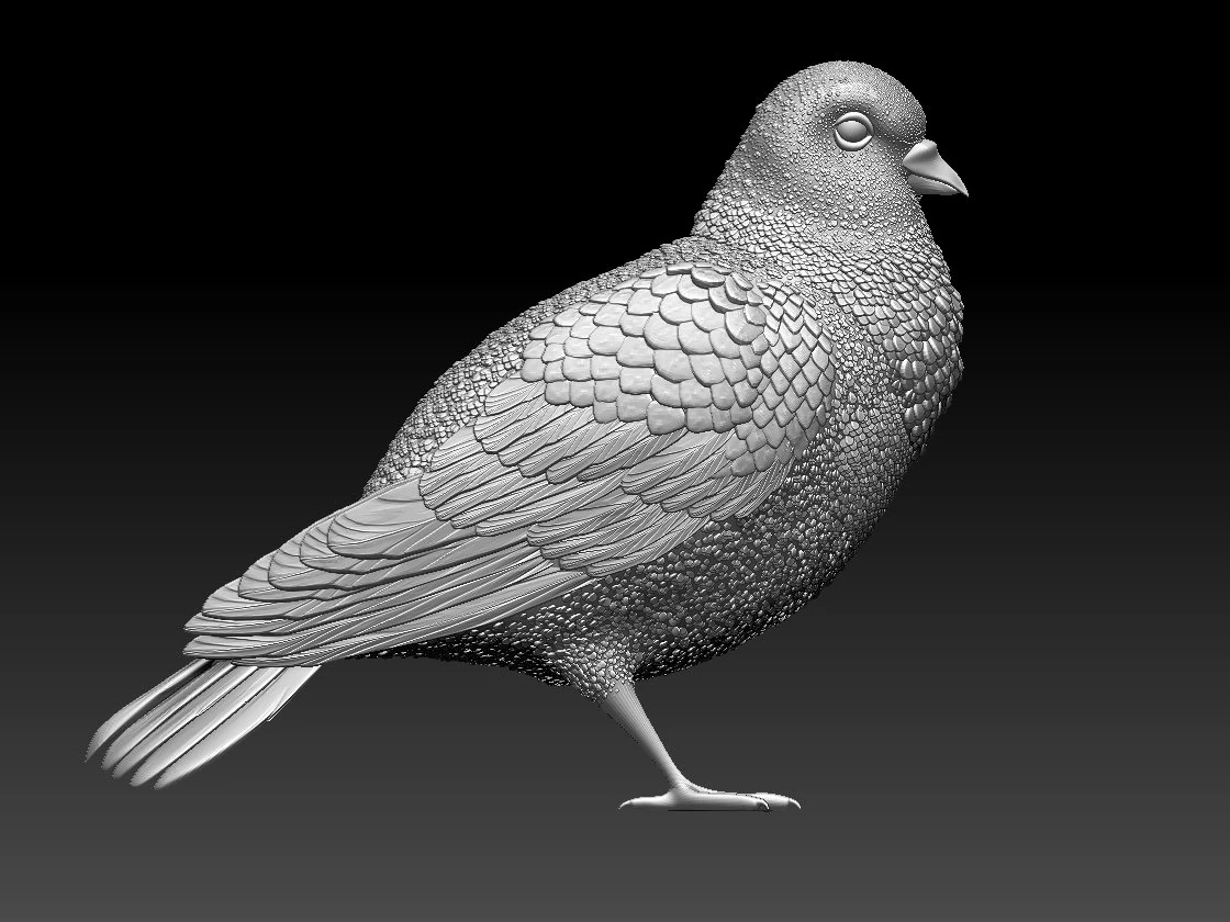 pigeon 3D Print Model .c4d .max .obj .3ds .fbx .stl .blend
