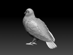 pigeon 3Dプリントモデル