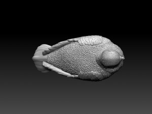 pigeon 3Dプリントモデル