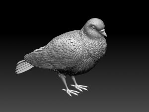 pigeon 3Dプリントモデル