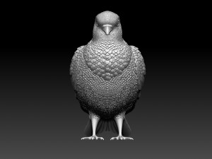 pigeon 3Dプリントモデル