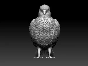pigeon 3D Print Model
