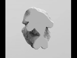 Katze 3D Druckmodell