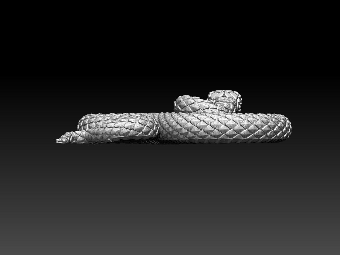 Snake 3D Print Model in Sculpture 3DExport