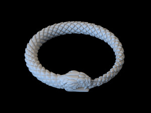 snake 3D Принт Модель