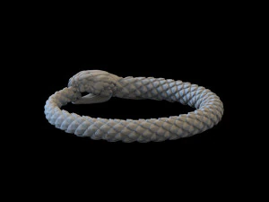 뱀 3D 프린트 모델