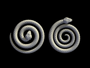 snake Modelo de impresión 3D