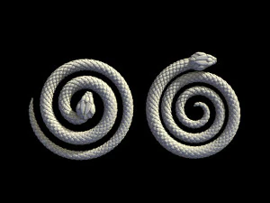 蛇 3Dプリントモデル