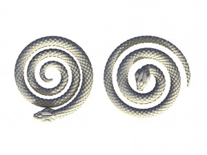 snake Model Cetak 3D