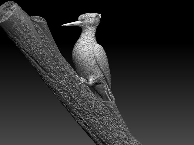 woodpecker 3D-printmodel .c4d .max .obj .3ds .fbx .stl .blend 