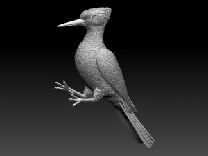 woodpecker 3D-printmodel