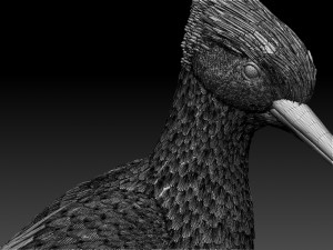 woodpecker 3D-printmodel