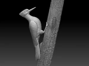 woodpecker 3D Print Model