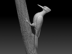 woodpecker 3D-printmodel
