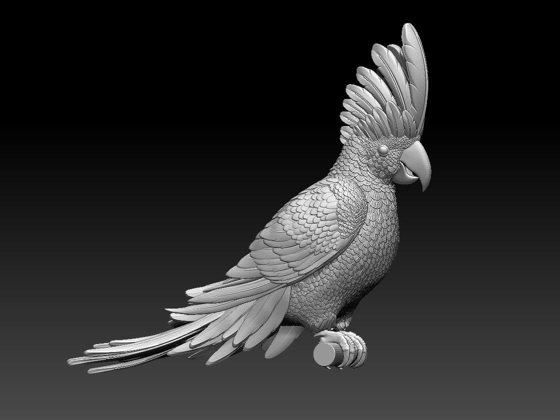 parrot cacadu 3D Print Model .c4d .max .obj .3ds .fbx .stl .blend