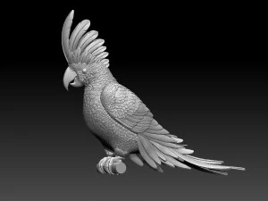 parrot cacadu 3D Print Model