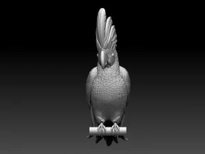 parrot cacadu 3D Print Model