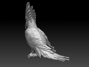 parrot cacadu 3D Принт Модель