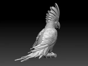parrot cacadu 3D Print Model