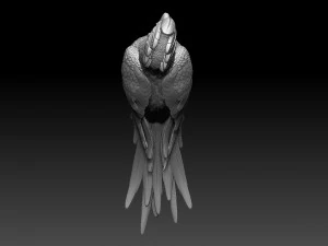 parrot cacadu 3D Print Model