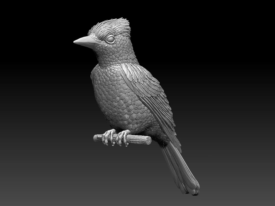 jay bird 3D Print Model .c4d .max .obj .3ds .fbx .stl .blend 