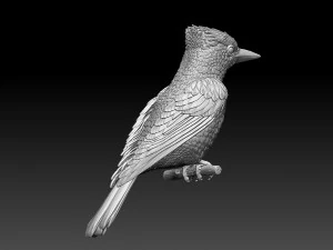 jay bird 3D Print Model