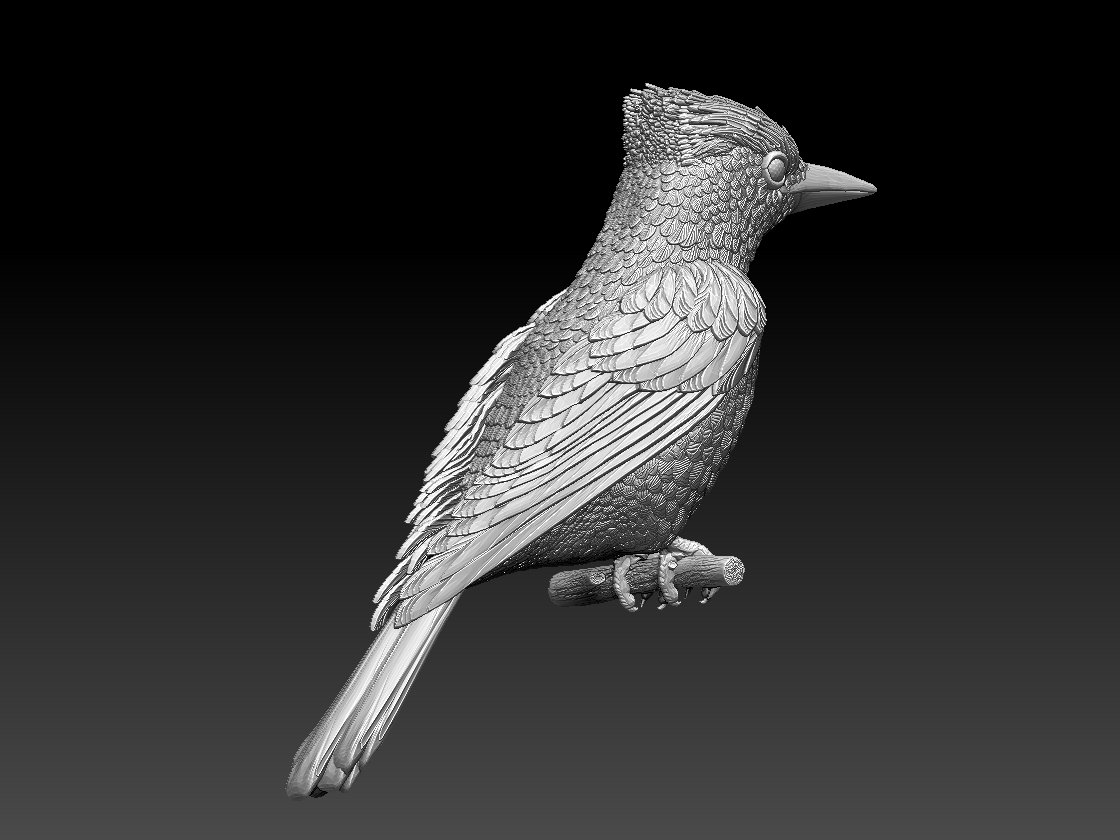 Bird 3d model