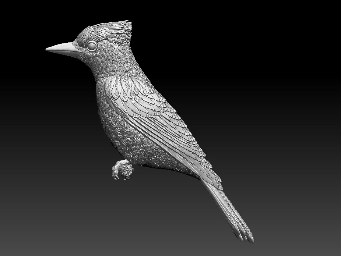 Bird 3d model