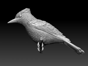 jay bird 3D प्रिंट मॉडल