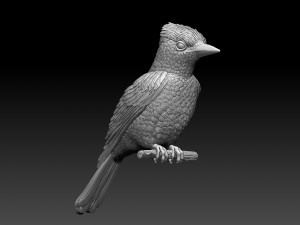 jay bird 3D प्रिंट मॉडल