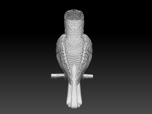 jay bird 3D प्रिंट मॉडल