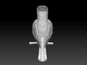 jay bird 3D Print Model