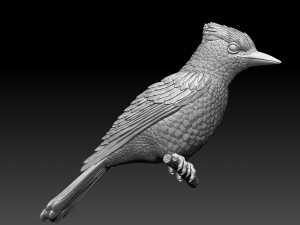 jay bird 3D प्रिंट मॉडल