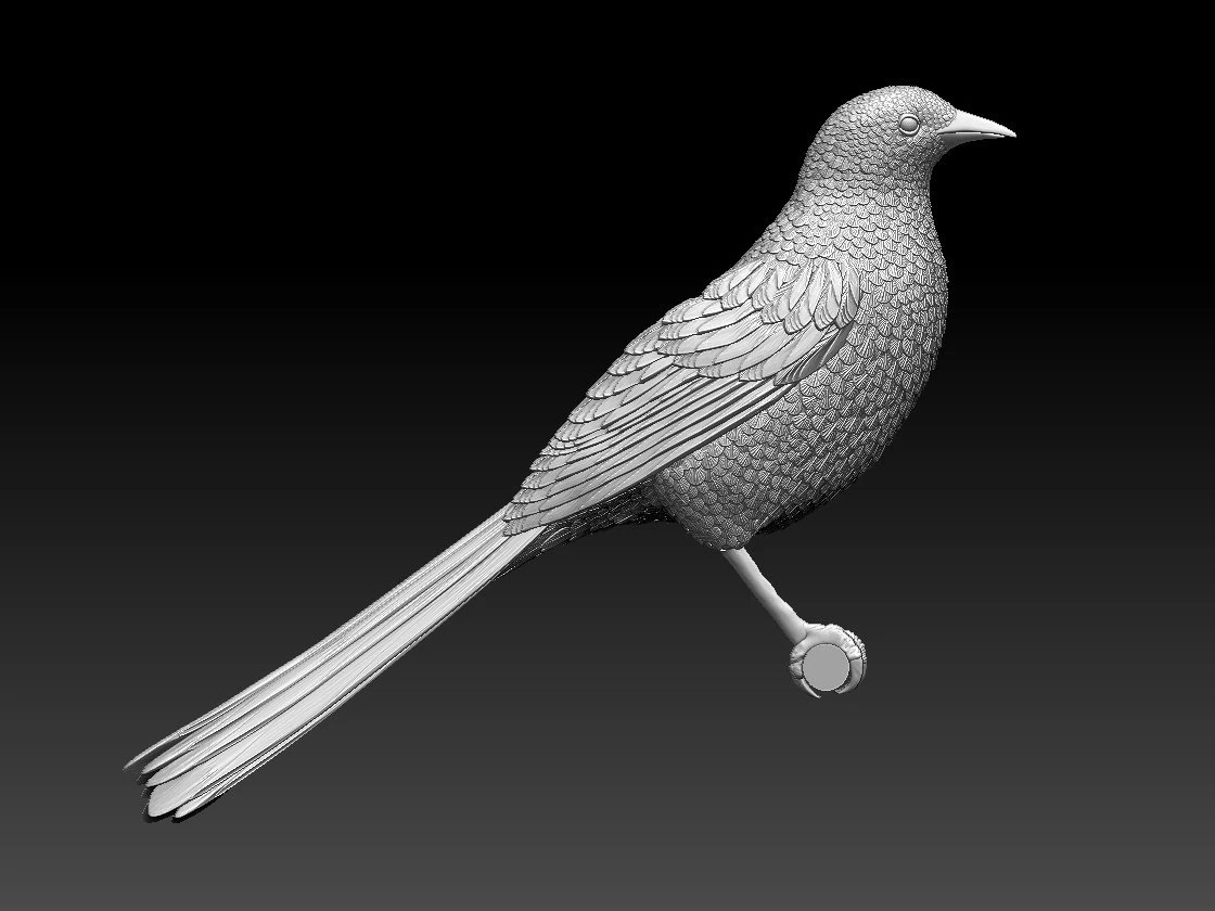 magpie 3D Print Model .c4d .max .obj .3ds .fbx .stl .blend 
