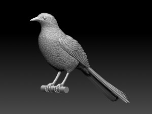magpie Modelo de Impressão 3D