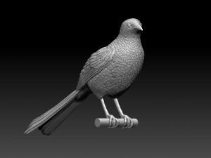magpie Modelo de Impressão 3D