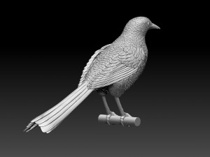 magpie Modelo de Impressão 3D