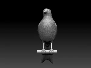magpie 3D Print Model