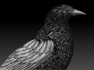 magpie Modelo de Impressão 3D