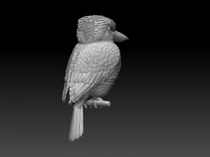 blue winged kookaburra 3D Print Model