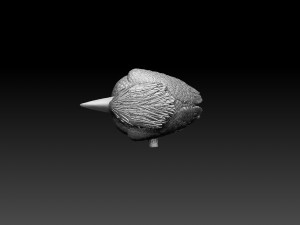 blue winged kookaburra Model do druku 3D
