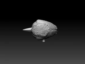 blue winged kookaburra 3D Print Model