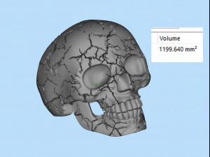 skull ring crack 3D Print Model