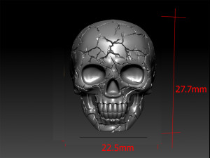 skull ring crack 3D Принт Модель