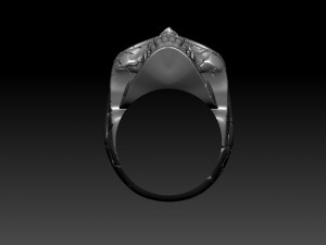 skull ring crack 3D Принт Модель