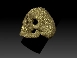 cincin tengkorak Model Cetak 3D