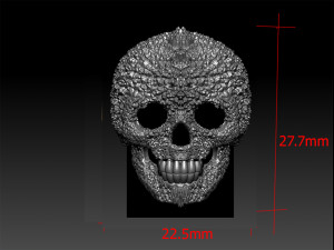 skull ring Modello di stampa 3D