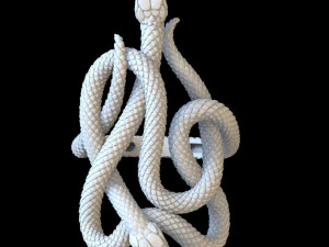 ring snake 3D Print Model